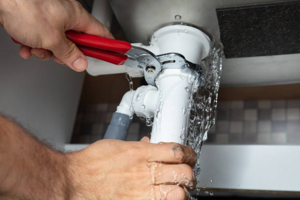 Best Water damage cleanup near me  in Mesquite, NV