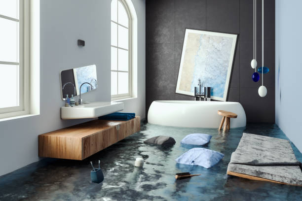 Best Mold removal after water damage  in Mesquite, NV