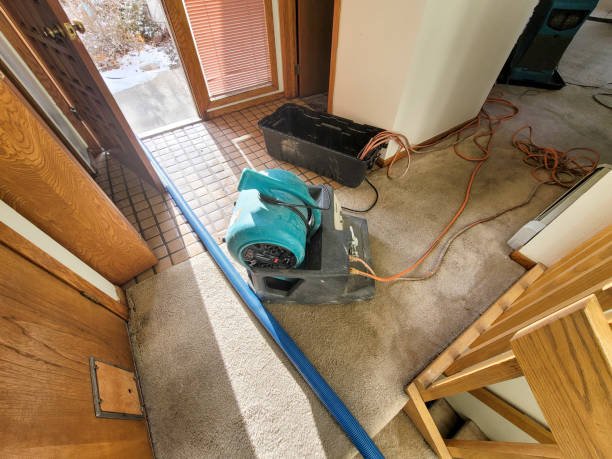 Best 24/7 water damage repair  in Mesquite, NV
