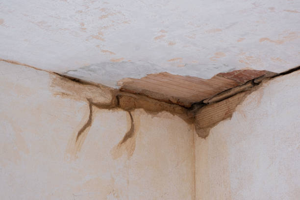 Best Water damage restoration near me  in Mesquite, NV