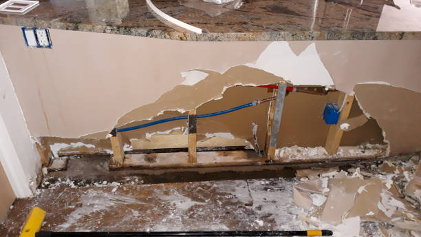 Best Flood damage cleanup  in Mesquite, NV