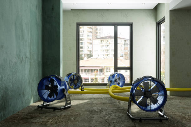 Best Water damage cleanup near me  in Mesquite, NV